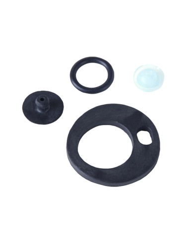 Kit Piezas Recambio Pulverizador 2 litros Papillón