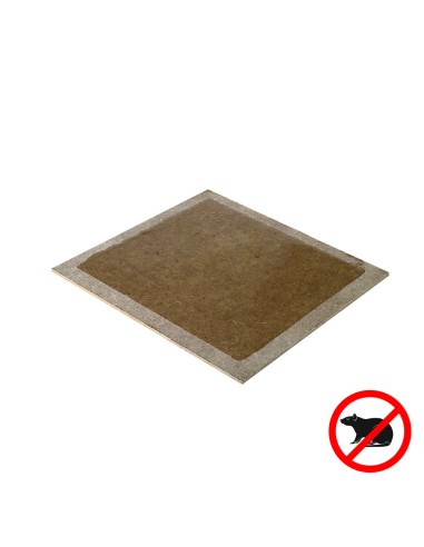 Trampa Ratones Adhesiva 19x14 cm. 2 unidades