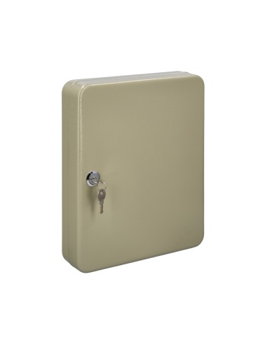 Armario De Seguridad Para Llaves Para 45 Llaves, Etiqueteros Incluidos. Armario Seguridad Llaves, Armario Llavero, 6x24x30 cm.