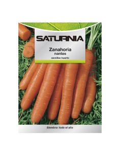 Semillas Zanahoria Nantes Temprana (7 Gramos). Semillas Verduras, Horticultura, Horticola, Semillas Huerto.