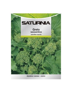 Semillas Grelo Brocoli (10 gramos) Semillas Verduras, Horticultura, Horticola, Semillas Huerto.