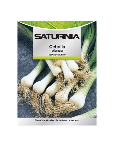 Semillas Cebolla Blanca (4 gramos) Semillas Verduras, Horticultura, Horticola, Semillas Huerto.