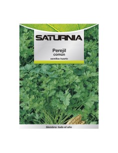 Semillas Perejil Comun (8 gramos) Semillas Verduras, Horticultura, Horticola, Semillas Huerto.
