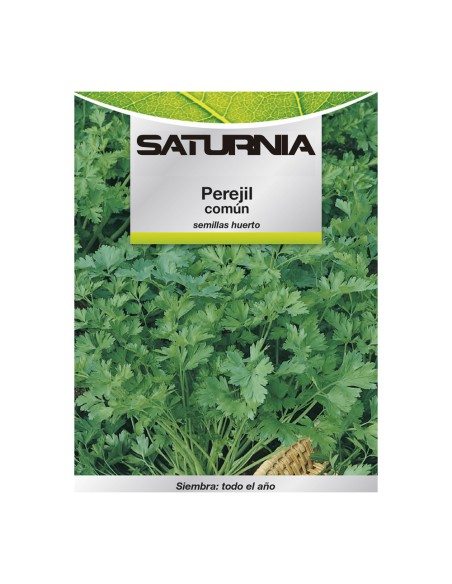Semillas Perejil Comun (8 gramos) Semillas Verduras, Horticultura, Horticola, Semillas Huerto.