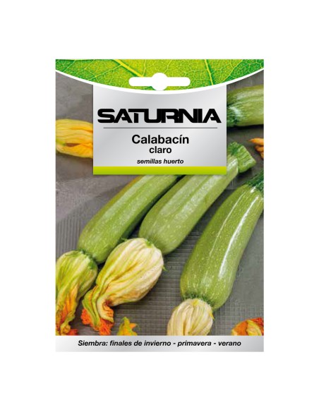 Semillas Calabacin Verde Oscuro (5 gramos) Semillas Verduras, Horticultura, Horticola, Semillas Huerto.