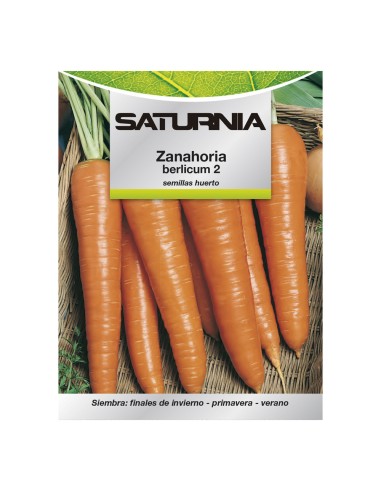 Semillas Huerto Zanahoria Berlicum