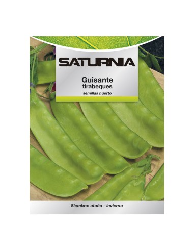 Semillas Huerto Guisantes Tirabeques
