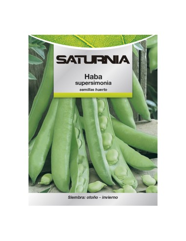 Semillas Huerto Habas