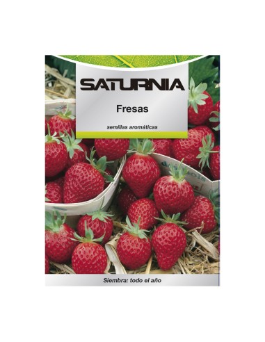 Semillas Huerto Fresas