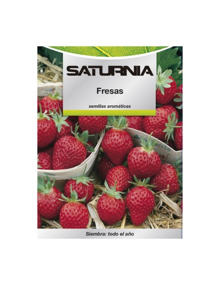 Semillas Huerto Fresas