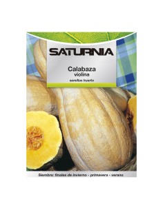 Semillas Huerto Calabaza Violina