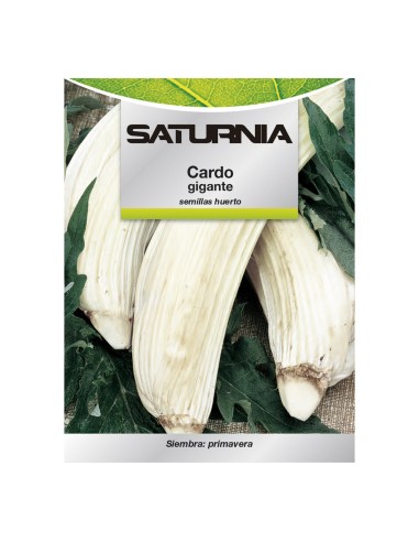 Semillas Huerto Cardo