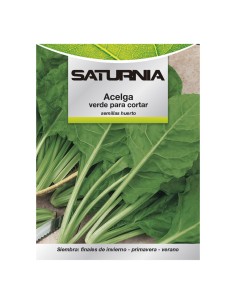 Semillas Huerto Acelga