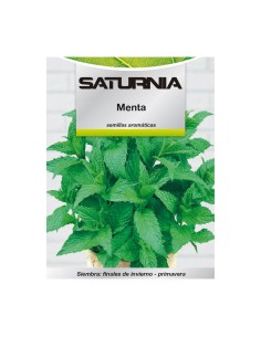 Semillas Aromaticas Menta (0.3 gramos) Horticultura, Horticola, Semillas Huerto.