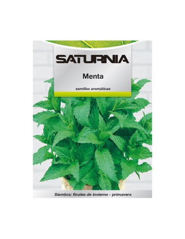 Semillas Aromaticas Menta (0.3 gramos) Horticultura, Horticola, Semillas Huerto.