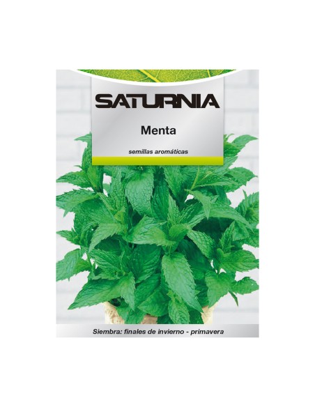 Semillas Aromaticas Menta (0.3 gramos) Horticultura, Horticola, Semillas Huerto.