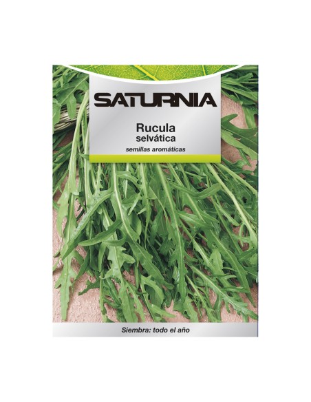 Semillas Aromaticas Rucula Selvatica (2.5 gramos) Horticultura, Horticola, Semillas Huerto.