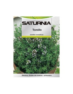 Semillas Aromaticas Tomillo (1 gramo) Horticultura, Horticola, Semillas Huerto.