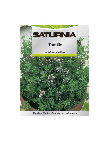 Semillas Aromaticas Tomillo (1 gramo) Horticultura, Horticola, Semillas Huerto.
