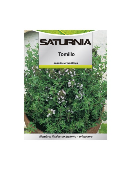Semillas Aromaticas Tomillo (1 gramo) Horticultura, Horticola, Semillas Huerto.