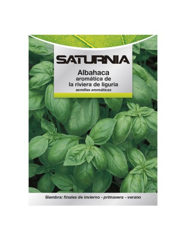 Semillas Aromáticas Albahaca Aromatica (5 gramos) Horticultura, Horticola, Semillas Huerto.