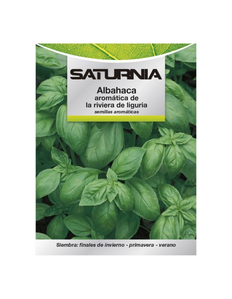 Semillas Aromáticas Albahaca Aromatica (5 gramos) Horticultura, Horticola, Semillas Huerto.