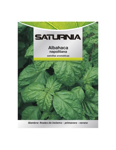 Semillas Aromáticas Albahaca Gigante (5 gramos) Horticultura, Horticola, Semillas Huerto.