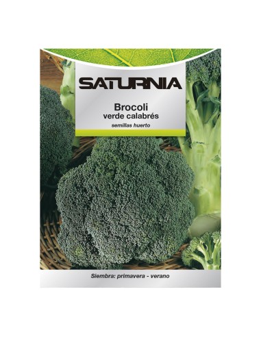 Semillas Huerto Brocoli