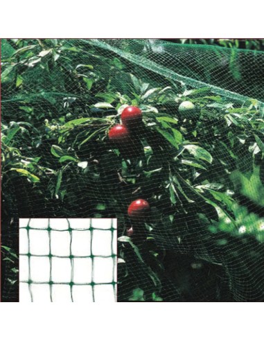 Malla Antipajaros (Rollo 4 x 5 Metros) Red Proteger Arboles, Cultivos, Frutas.