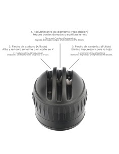 Afilador Ventosa 3 Etapas Next Generation 2