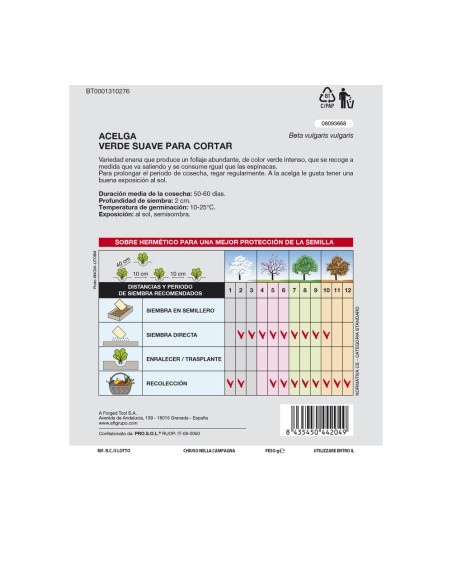 Semillas Huerto Acelga