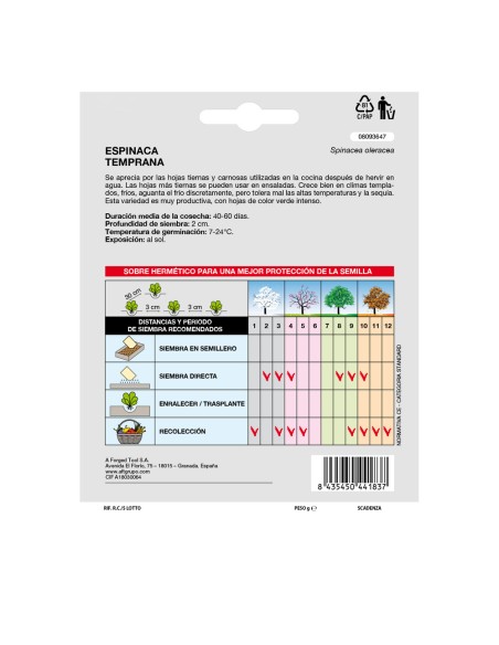 Semillas Espinaca Temprana (8 gramos) Semillas Verduras, Horticultura, Horticola, Semillas Huerto.