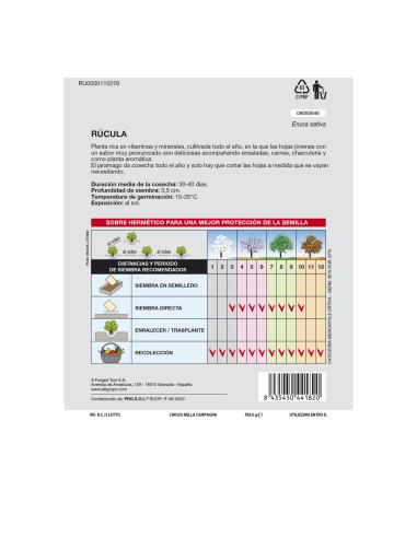Semillas Rucula (9 gramos) Semillas Verduras, Horticultura, Horticola, Semillas Huerto.