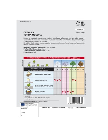 Semillas Cebolla Blanca (4 gramos) Semillas Verduras, Horticultura, Horticola, Semillas Huerto.