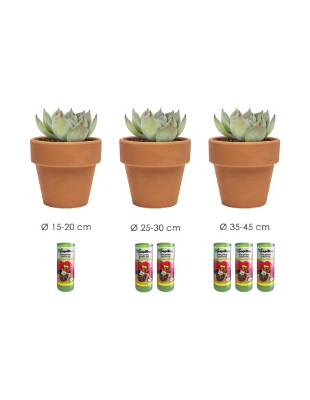 Agua Gelificada Para Riego Con Dispensador 300 ml.