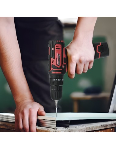 Puntas Destornillador Pozidriv Nº 2 (50 Piezas). Acero S2 al Cromo Vanadio. Puntas Hexagonales, Destorpuntas,