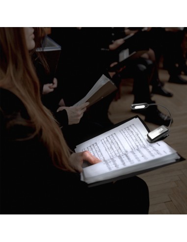 Linterna LED De Mesa / Lectura Bateria Recargable (1.000 mAh) 30 Lumenes Con Clip, 3 Tonos De Luz y 3 Niveles De Luminosidad