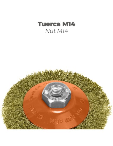 Cepillo Oblicuo Con Alambre De Acero Latonado Rosca M14, Ø 100 mm. Alambre de Ø 0,30 mm.