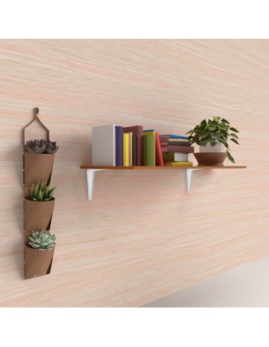 Palomilla Wolfpack Pintada Blanca 125x150 mm.