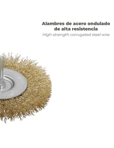 Cepillo Acero Latonado Para Taladro. Disco Ø 100 mm. Espiga 1/4" Cepillo Taladro Alambre Latón, Cepillo Limpieza, Cepillo Pulir.