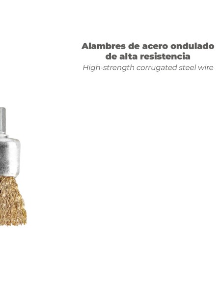 Cepillo Acero latonado Brocha 25 mm. 1/4"