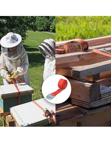 Cinta De Amarre Con Trinquete 2,5 metros x 25 mm. Trinquete Metalico Automatico, Cincha, Eslinga Mercancia, Correa Sujeción