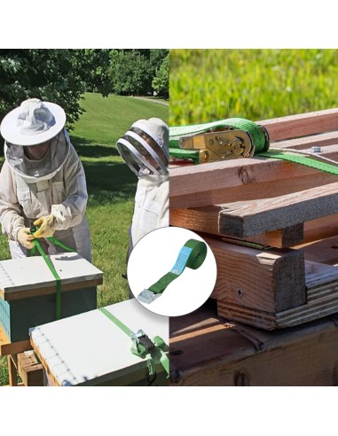 Cinta De Amarre Con Trinquete 4 metros x 25 mm. Trinquete Metalico Automatico, Cincha, Eslinga Mercancia, Correa Sujeción