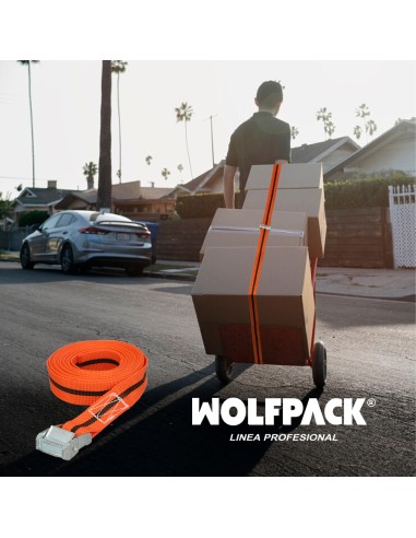 Cinta De Amarre Con Trinquete 5 metros x 38 mm. Trinquete Metalico Automatico, Cincha, Eslinga Mercancia, Correa Sujeción