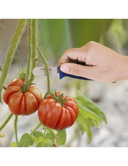 Cuchillo Recolectar Tomates / Pepinos 13,5 cm. Cuchillo Corta Tomates, Cuchillo Pepinos, Cuchillo Cortador Pepinos,