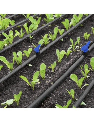 Llave De Paso Extra Para Tuberias Goteo Ø 16 mm. (Bolsa 50 Piezas) Riego Por Goteo, Microaspersión, Riego Por Nebulizacion