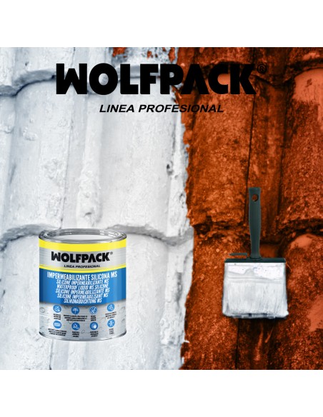 Impermeabilizante Silicona Ms Polymer Blanco 1 Kg. Silicona Liquida, Revestimiento Acrilico, Impermeabilizante, Pintura Acrilica