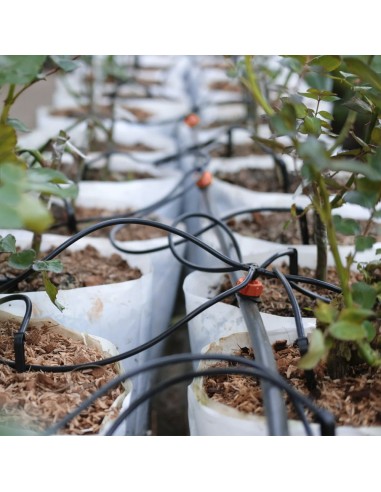 Tuberia De Riego Por Goteo Ø 16 mm. Espesor Tubo 1,2 mm. Uso Agricola 400 Metros