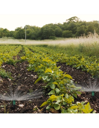 Difusor Emergente 3" Para GoteosToma H 1/2" Regulación 0-360º. Riego Por Goteo, Microaspersión, Riego Por Nebulizacion