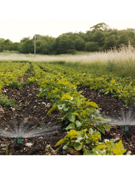 Difusor Emergente 3" Para GoteosToma H 1/2" Regulación 0-360º. Riego Por Goteo, Microaspersión, Riego Por Nebulizacion